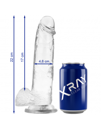 X RAY - KLARER HAHN MIT EIER 22 CM -O- 4.6 CM