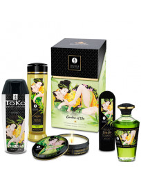 SHUNGA - EDO GARTEN-KIT BIO-KOLLEKTION